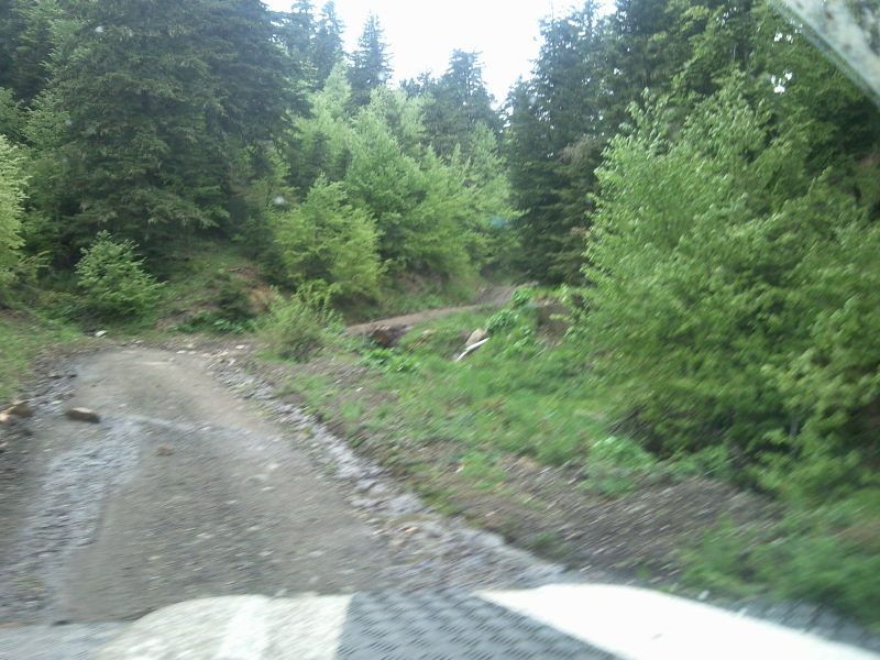 FotoÃƒÂƒÃ‚Â„ÃƒÂ‚Ã‚ÂŸraf-0147.jpg