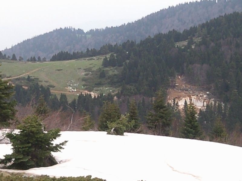 FotoÃƒÂƒÃ‚Â„ÃƒÂ‚Ã‚ÂŸraf-0148.jpg