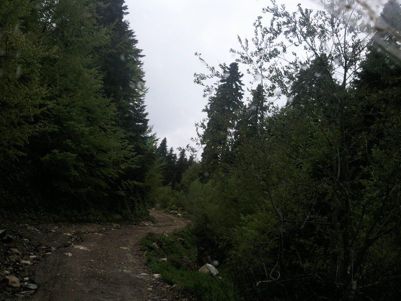 FotoÃƒÂƒÃ‚Â„ÃƒÂ‚Ã‚ÂŸraf-0148.jpg