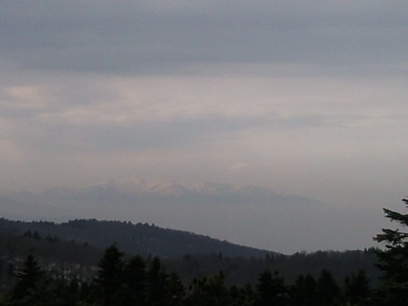 FotoÃƒÂƒÃ‚Â„ÃƒÂ‚Ã‚ÂŸraf-0149.jpg