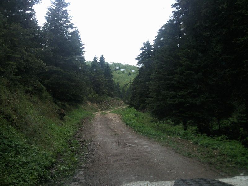 FotoÃƒÂƒÃ‚Â„ÃƒÂ‚Ã‚ÂŸraf-0149.jpg