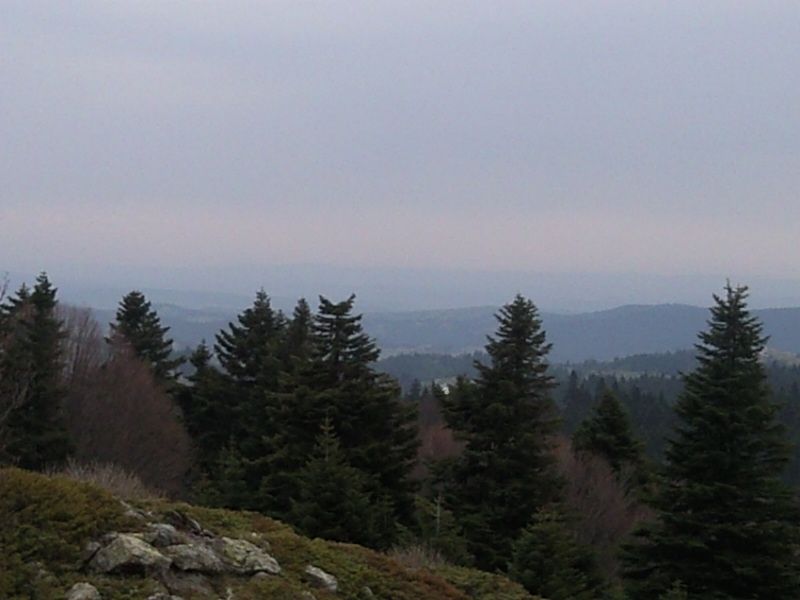 FotoÃƒÂƒÃ‚Â„ÃƒÂ‚Ã‚ÂŸraf-0150.jpg