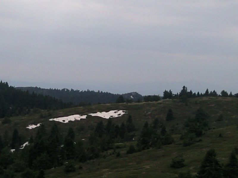 FotoÃƒÂƒÃ‚Â„ÃƒÂ‚Ã‚ÂŸraf-0151.jpg