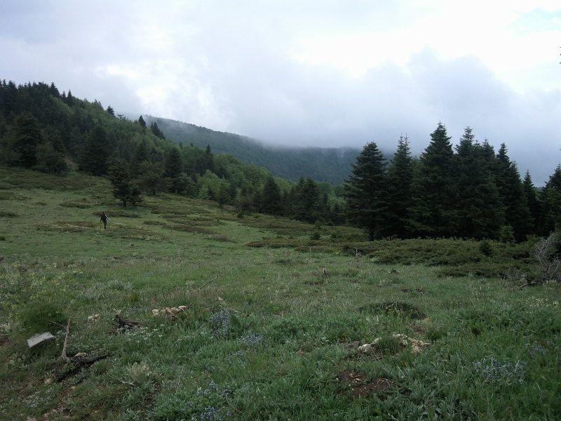 FotoÃƒÂƒÃ‚Â„ÃƒÂ‚Ã‚ÂŸraf-0151.jpg