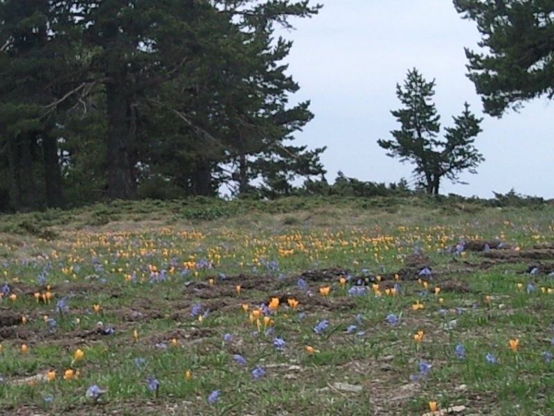 FotoÃƒÂƒÃ‚Â„ÃƒÂ‚Ã‚ÂŸraf-0153.jpg
