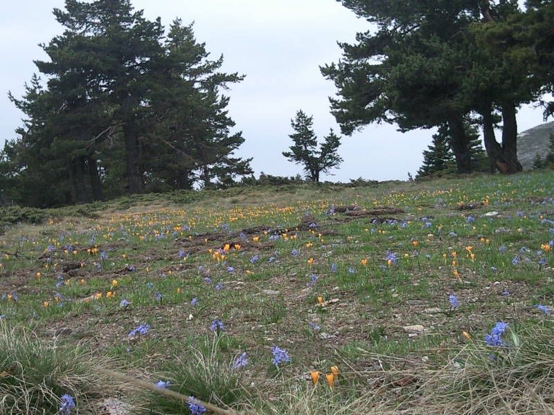 FotoÃƒÂƒÃ‚Â„ÃƒÂ‚Ã‚ÂŸraf-0154.jpg