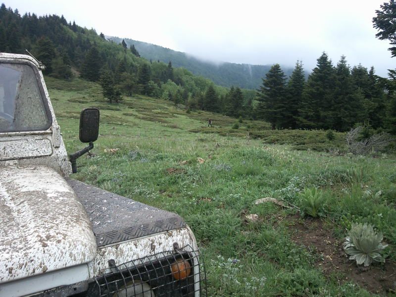 FotoÃƒÂƒÃ‚Â„ÃƒÂ‚Ã‚ÂŸraf-0154.jpg