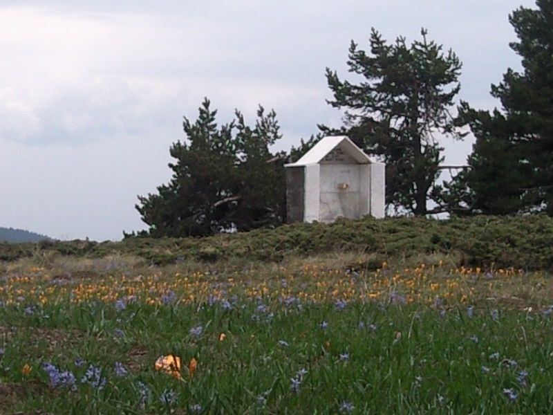 FotoÃƒÂƒÃ‚Â„ÃƒÂ‚Ã‚ÂŸraf-0155.jpg