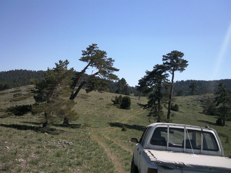 FotoÃƒÂƒÃ‚Â„ÃƒÂ‚Ã‚ÂŸraf-0155.jpg