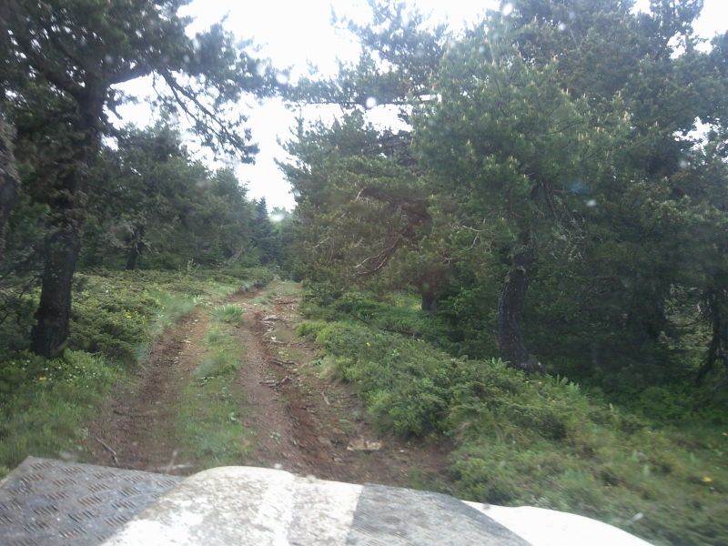 FotoÃƒÂƒÃ‚Â„ÃƒÂ‚Ã‚ÂŸraf-0155.jpg