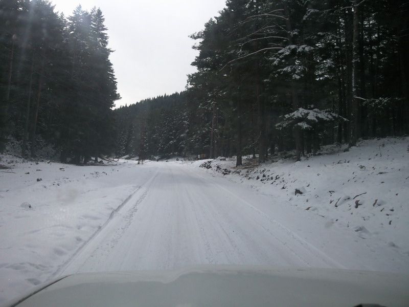 FotoÃƒÂƒÃ‚Â„ÃƒÂ‚Ã‚ÂŸraf-0156.jpg
