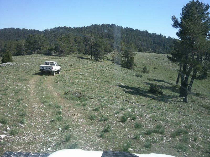 FotoÃƒÂƒÃ‚Â„ÃƒÂ‚Ã‚ÂŸraf-0157.jpg