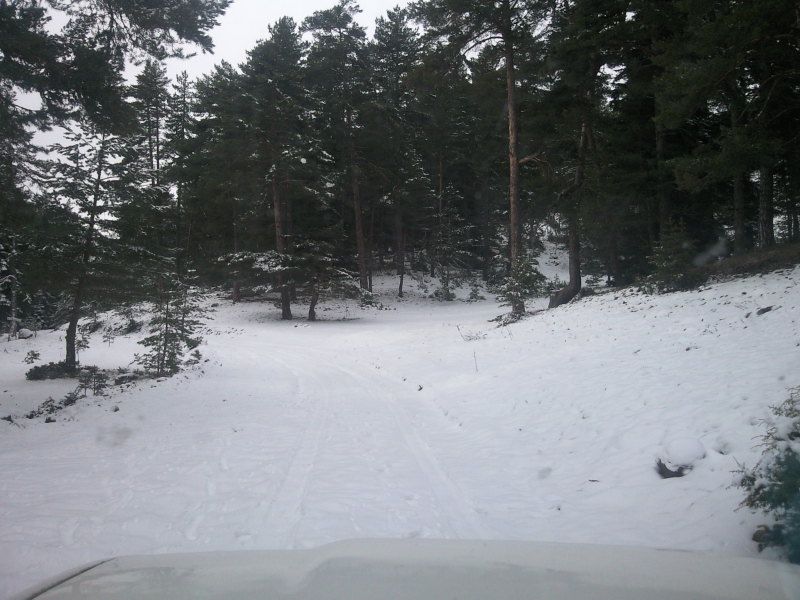 FotoÃƒÂƒÃ‚Â„ÃƒÂ‚Ã‚ÂŸraf-0157.jpg
