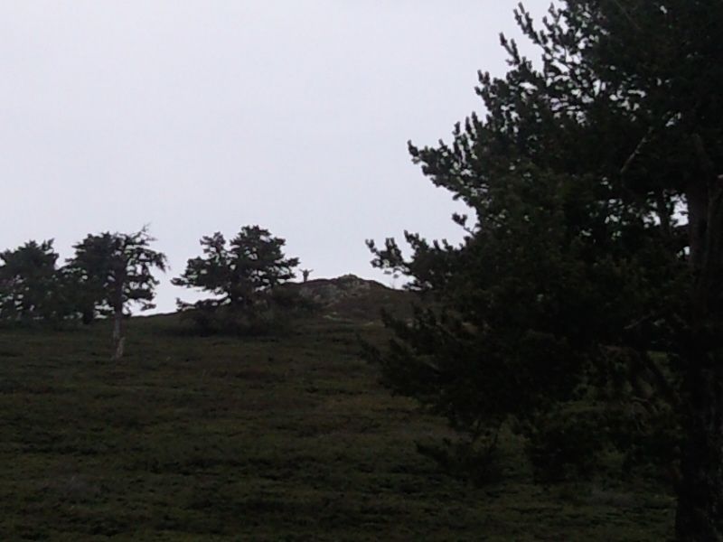 FotoÃƒÂƒÃ‚Â„ÃƒÂ‚Ã‚ÂŸraf-0158.jpg