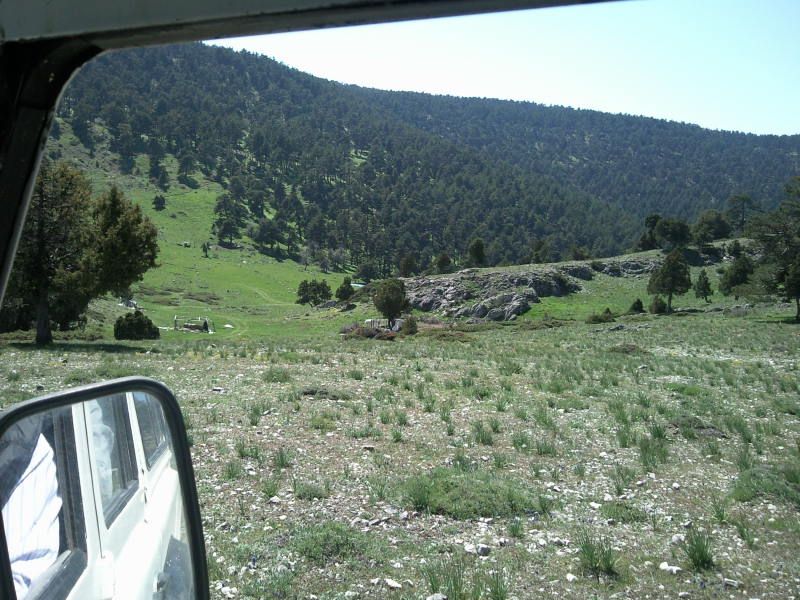 FotoÃƒÂƒÃ‚Â„ÃƒÂ‚Ã‚ÂŸraf-0158.jpg