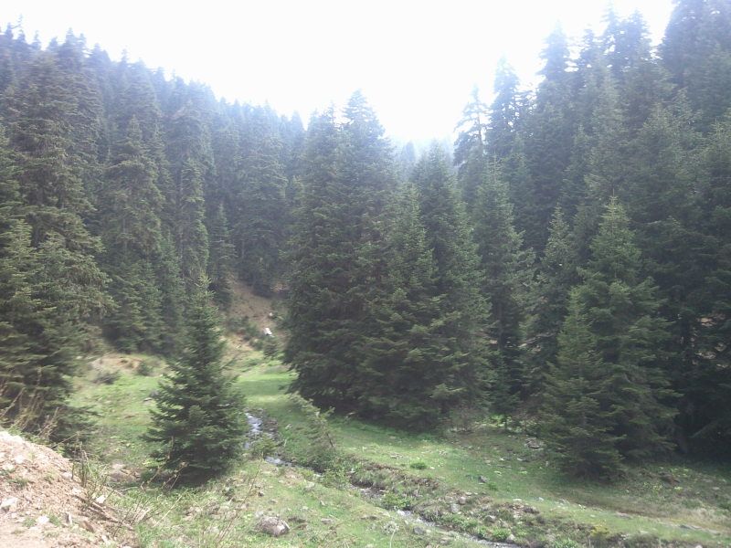 FotoÃƒÂƒÃ‚Â„ÃƒÂ‚Ã‚ÂŸraf-0158.jpg