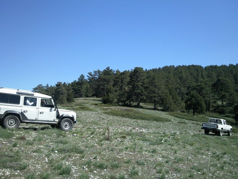 FotoÃƒÂƒÃ‚Â„ÃƒÂ‚Ã‚ÂŸraf-0159.jpg