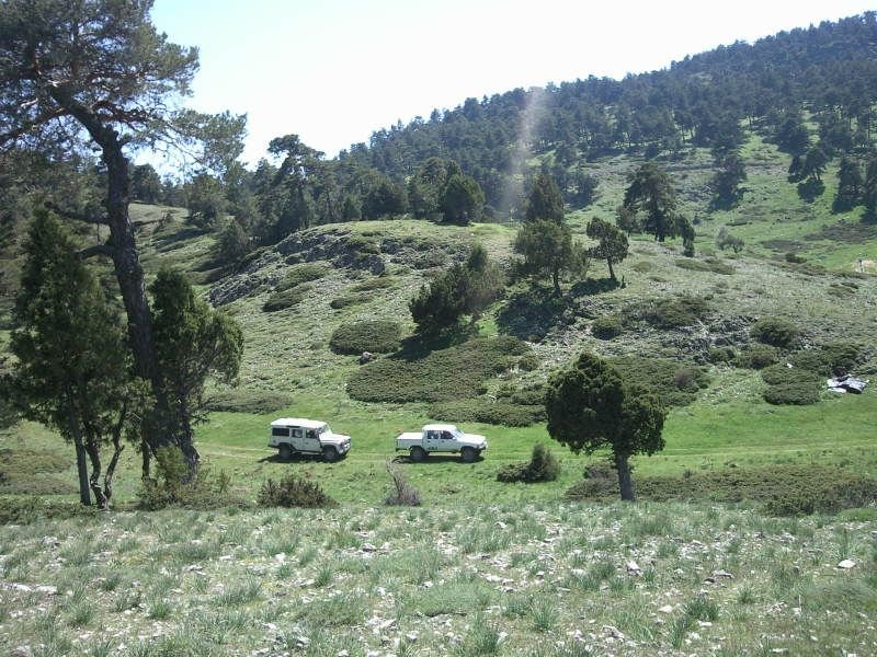 FotoÃƒÂƒÃ‚Â„ÃƒÂ‚Ã‚ÂŸraf-0160.jpg