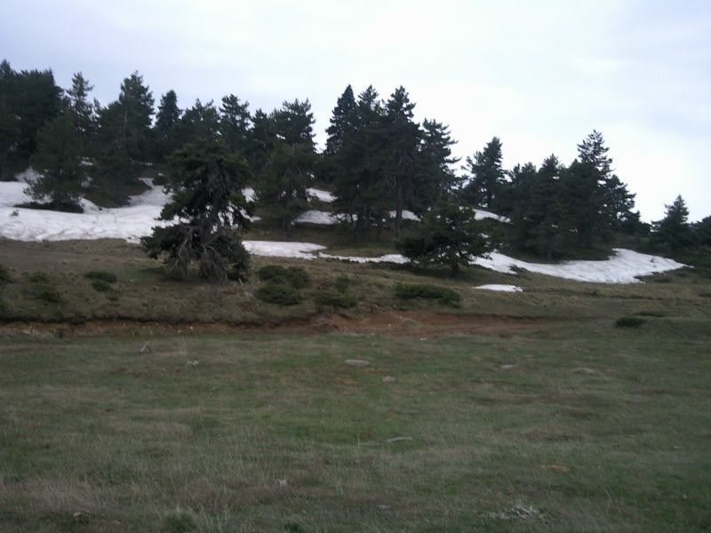 FotoÃƒÂƒÃ‚Â„ÃƒÂ‚Ã‚ÂŸraf-0161.jpg