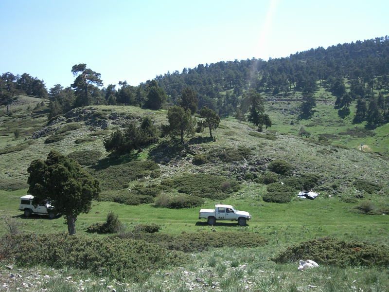 FotoÃƒÂƒÃ‚Â„ÃƒÂ‚Ã‚ÂŸraf-0161.jpg