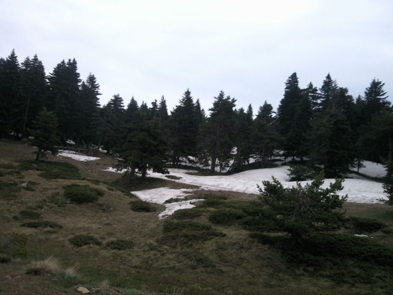 FotoÃƒÂƒÃ‚Â„ÃƒÂ‚Ã‚ÂŸraf-0162.jpg