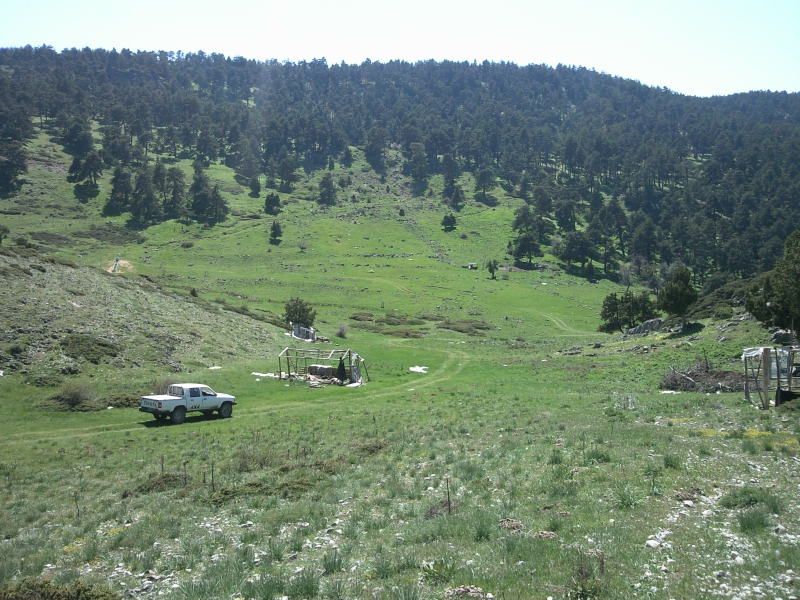 FotoÃƒÂƒÃ‚Â„ÃƒÂ‚Ã‚ÂŸraf-0162.jpg