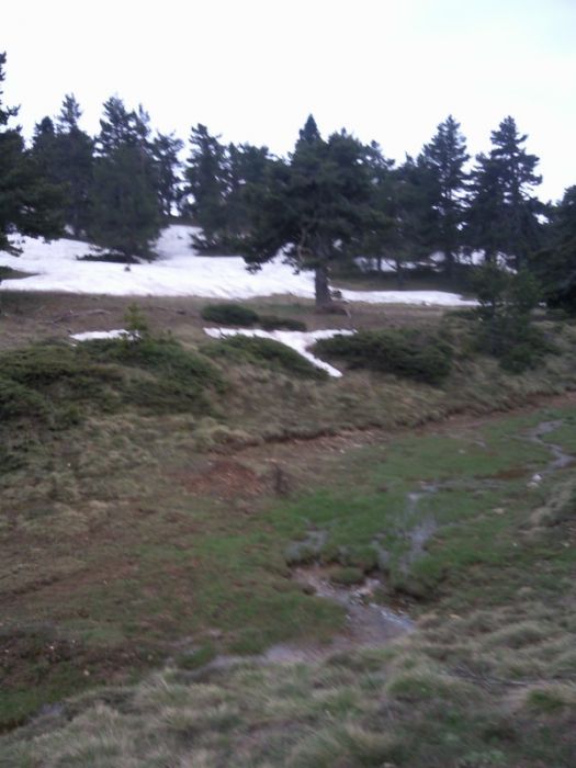 FotoÃƒÂƒÃ‚Â„ÃƒÂ‚Ã‚ÂŸraf-0163.jpg