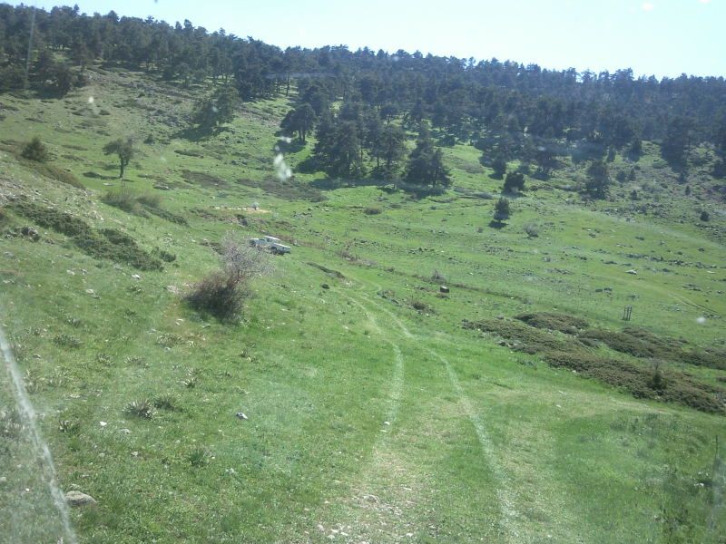 FotoÃƒÂƒÃ‚Â„ÃƒÂ‚Ã‚ÂŸraf-0163.jpg