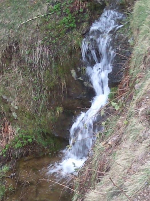 FotoÃƒÂƒÃ‚Â„ÃƒÂ‚Ã‚ÂŸraf-0164.jpg