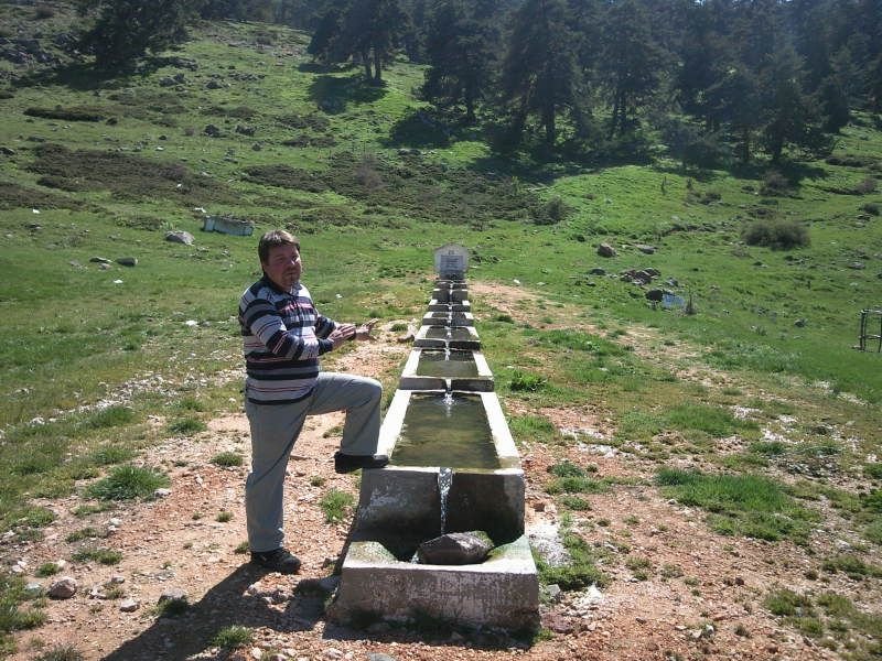 FotoÃƒÂƒÃ‚Â„ÃƒÂ‚Ã‚ÂŸraf-0164.jpg