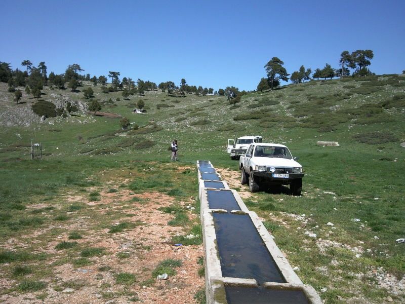 FotoÃƒÂƒÃ‚Â„ÃƒÂ‚Ã‚ÂŸraf-0165.jpg