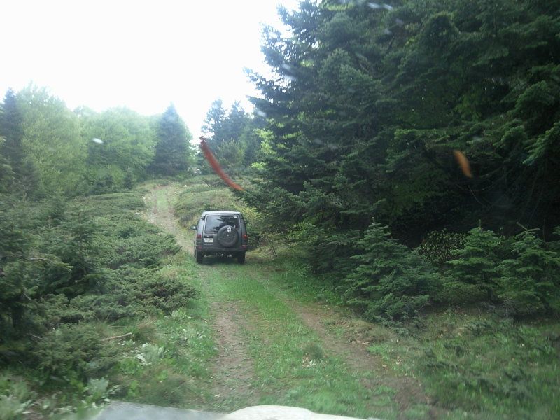 FotoÃƒÂƒÃ‚Â„ÃƒÂ‚Ã‚ÂŸraf-0166.jpg