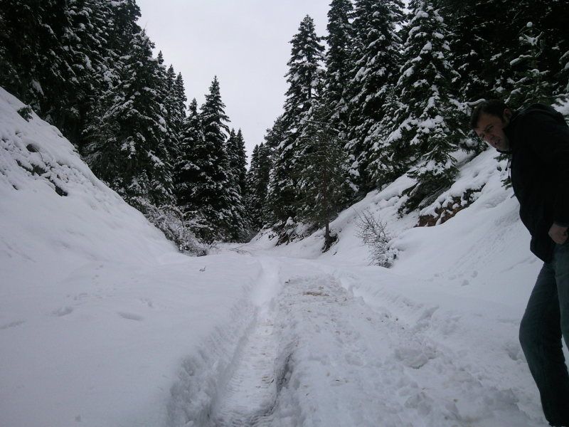 FotoÃƒÂƒÃ‚Â„ÃƒÂ‚Ã‚ÂŸraf-0166.jpg