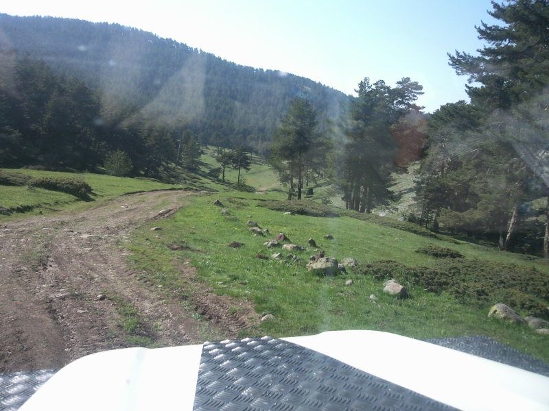 FotoÃƒÂƒÃ‚Â„ÃƒÂ‚Ã‚ÂŸraf-0167.jpg