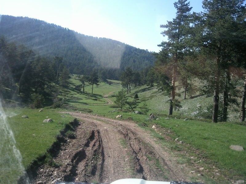 FotoÃƒÂƒÃ‚Â„ÃƒÂ‚Ã‚ÂŸraf-0168.jpg