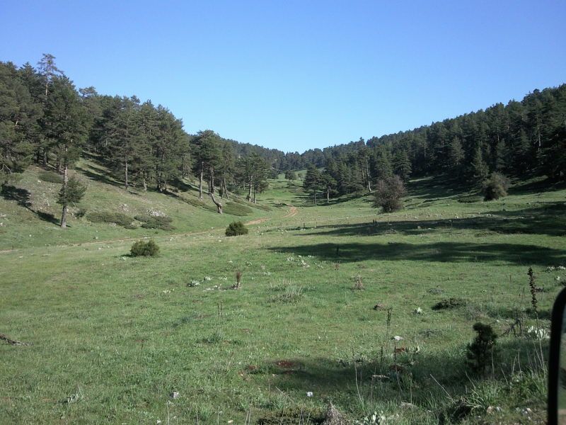 FotoÃƒÂƒÃ‚Â„ÃƒÂ‚Ã‚ÂŸraf-0169.jpg