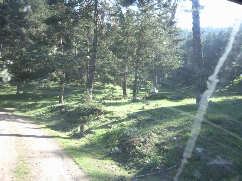 FotoÃƒÂƒÃ‚Â„ÃƒÂ‚Ã‚ÂŸraf-0170.jpg