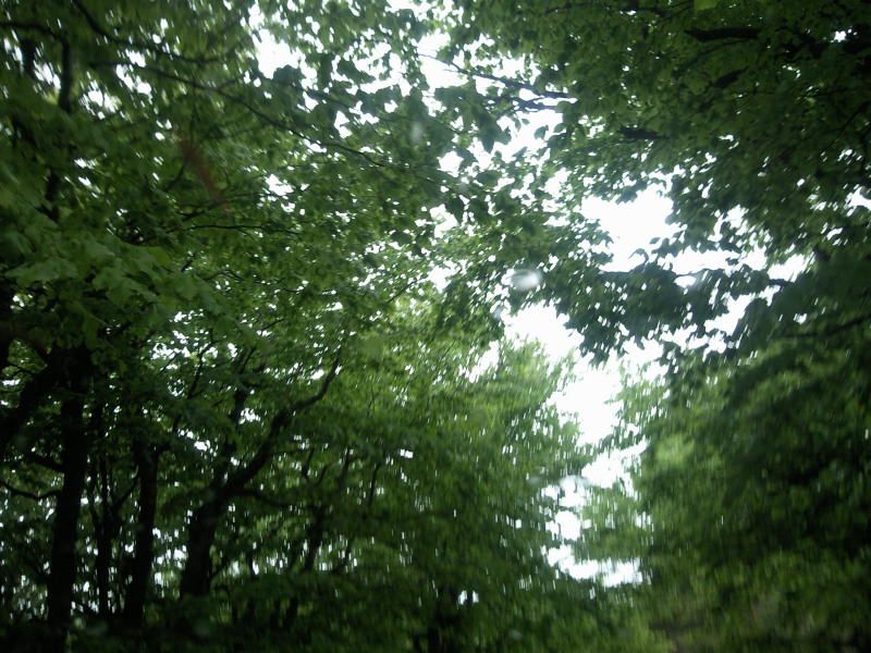 FotoÃƒÂƒÃ‚Â„ÃƒÂ‚Ã‚ÂŸraf-0171.jpg