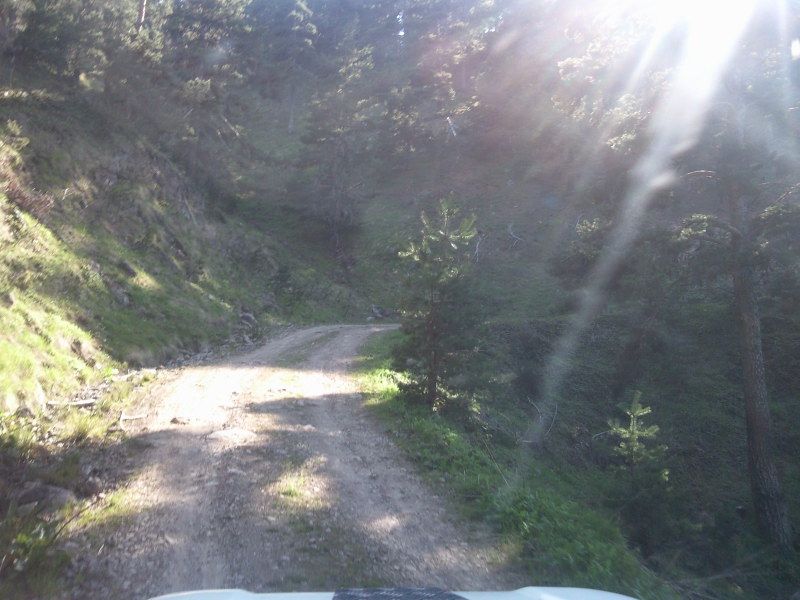 FotoÃƒÂƒÃ‚Â„ÃƒÂ‚Ã‚ÂŸraf-0172.jpg
