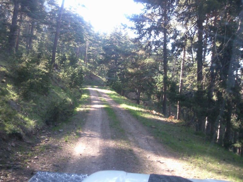 FotoÃƒÂƒÃ‚Â„ÃƒÂ‚Ã‚ÂŸraf-0173.jpg