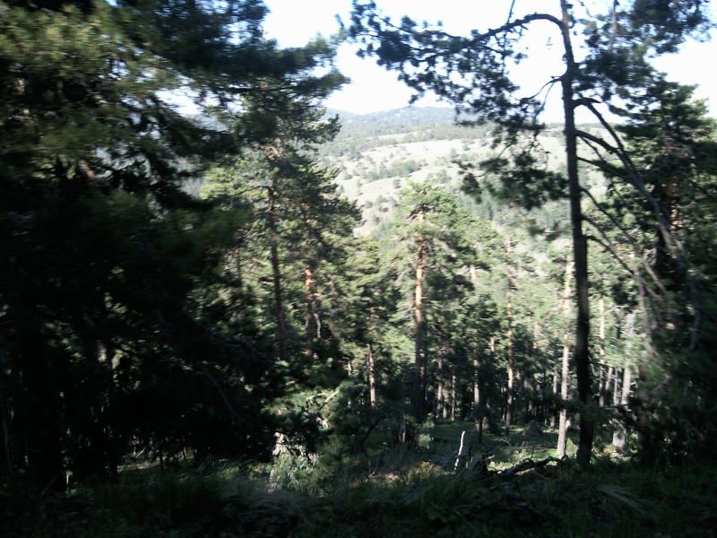 FotoÃƒÂƒÃ‚Â„ÃƒÂ‚Ã‚ÂŸraf-0174.jpg