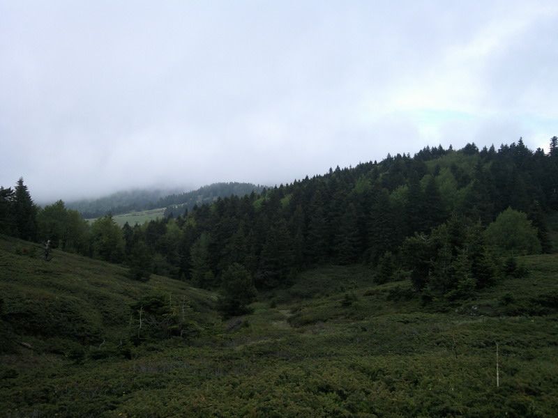 FotoÃƒÂƒÃ‚Â„ÃƒÂ‚Ã‚ÂŸraf-0175.jpg