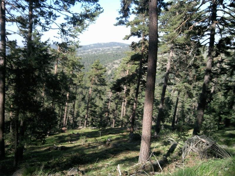 FotoÃƒÂƒÃ‚Â„ÃƒÂ‚Ã‚ÂŸraf-0176.jpg