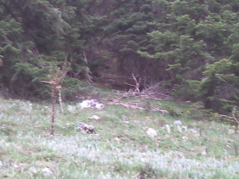 FotoÃƒÂƒÃ‚Â„ÃƒÂ‚Ã‚ÂŸraf-0176.jpg
