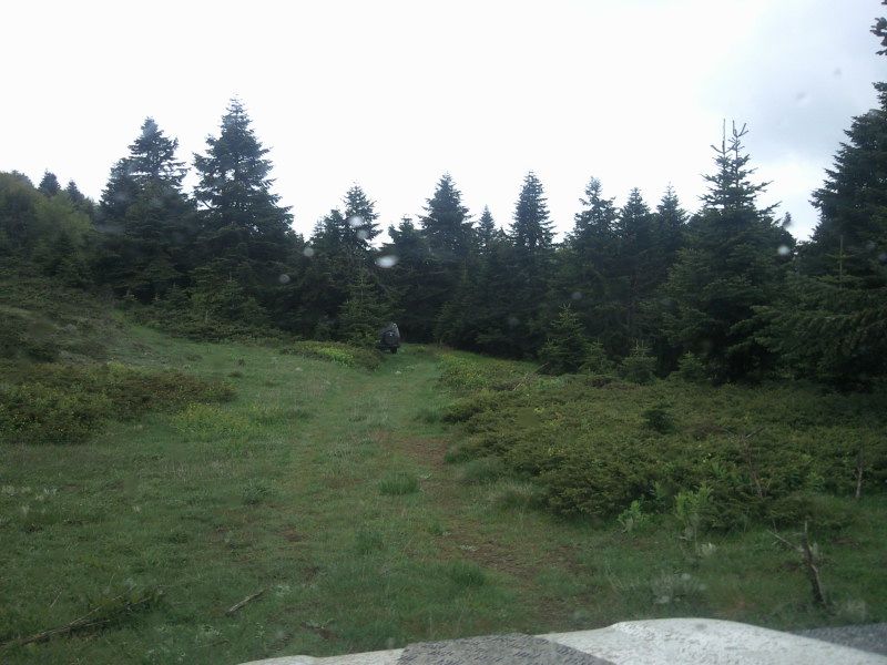 FotoÃƒÂƒÃ‚Â„ÃƒÂ‚Ã‚ÂŸraf-0176.jpg