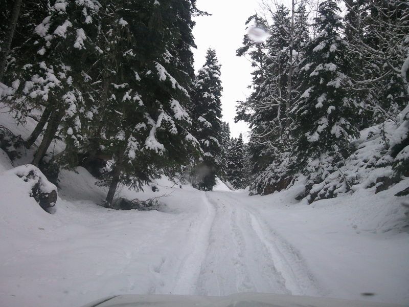 FotoÃƒÂƒÃ‚Â„ÃƒÂ‚Ã‚ÂŸraf-0176.jpg