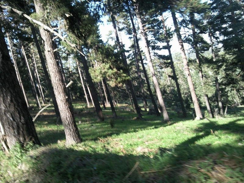 FotoÃƒÂƒÃ‚Â„ÃƒÂ‚Ã‚ÂŸraf-0177.jpg