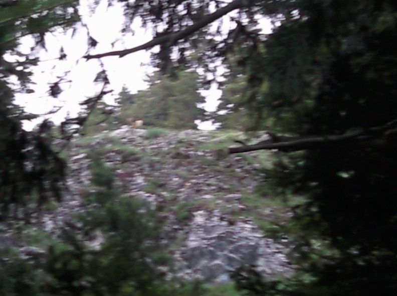 FotoÃƒÂƒÃ‚Â„ÃƒÂ‚Ã‚ÂŸraf-0177.jpg