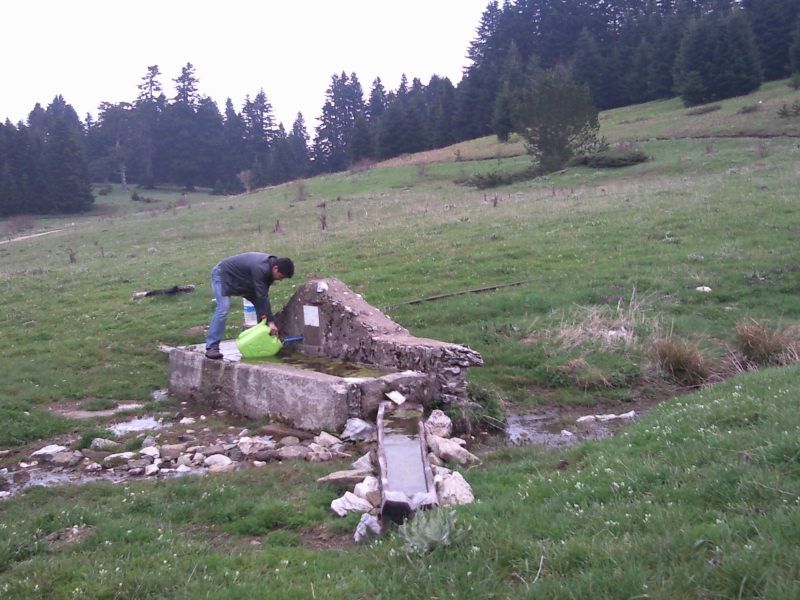 FotoÃƒÂƒÃ‚Â„ÃƒÂ‚Ã‚ÂŸraf-0178.jpg