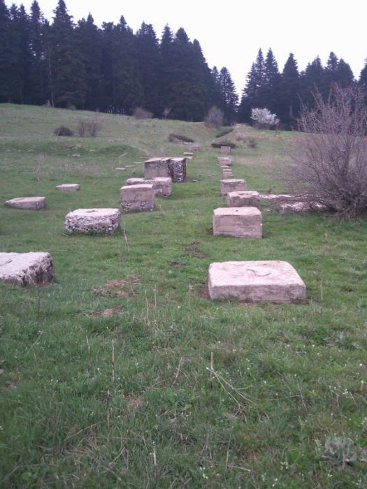FotoÃƒÂƒÃ‚Â„ÃƒÂ‚Ã‚ÂŸraf-0179.jpg